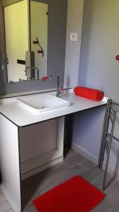 a bathroom with a sink with a mirror and a red rug at Le Chant Des Mûres in Plabennec