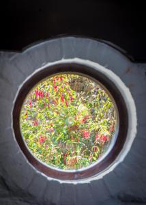 a view through a tire of a garden with red flowers at Route 2 Apartments in Topsham