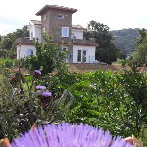 Nespecifikovaný výhled na hory nebo výhled na hory při pohledu z bed and breakfast