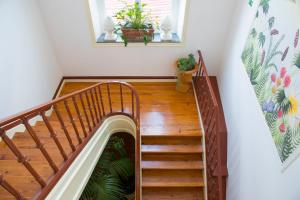 Fotografie z fotogalerie ubytování La Palma Hostel Leiria v destinaci Leiria