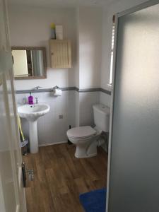łazienka z toaletą i umywalką w obiekcie Amore Bed & Breakfast w mieście Londonderry/Derry