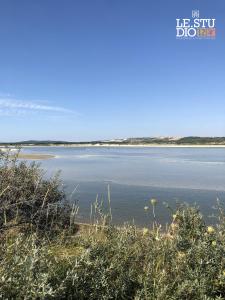 una vista de un cuerpo de agua con algunas plantas en Le Studio 12, en Le Touquet-Paris-Plage