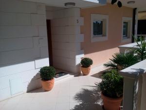 a group of potted plants on the side of a building at Apartments Jani in Hvar