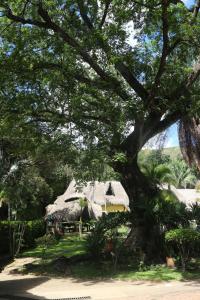 Aed väljaspool majutusasutust Eco Hotel El Reposo