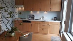 a kitchen with wooden cabinets and a sink at Ferienwohnung in Celle in Celle