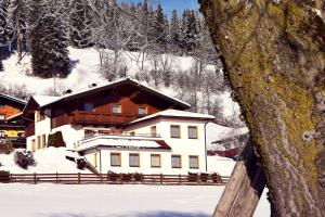 Ferienhaus Steger Maria v zimě