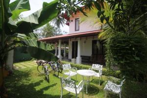 A garden outside River Breeze Villa Bentota