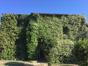 un bâtiment recouvert de lierre vert avec une porte dans l'établissement La Fratta Art - House, à Marsciano