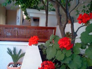 a bench and red flowers in front of a tree at Apartments Jani in Hvar