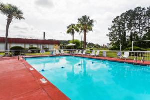 a swimming pool at a resort with chairs and palm trees at Super 8 by Wyndham Hardeeville - Savannah North in Hardeeville