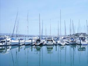 a group of boats docked in a harbor at Extended Stay America Premier Suites - Oakland - Alameda in Alameda