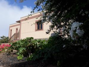 Zahrada ubytování Casa Girdana