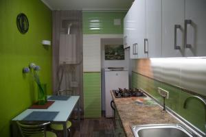 a kitchen with green walls and a sink and a counter at Odessa Heart in Odesa
