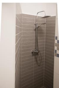 a shower with a shower head in a bathroom at Apartment Optim in Ljubljana +28 photos