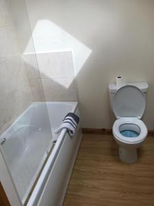 SeagoeにあるLakelandsのバスルーム(トイレ、シャワー、バスタブ付)