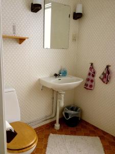 ein Badezimmer mit einem Waschbecken, einem WC und einem Spiegel in der Unterkunft Stora Björnstugan in Laisvall