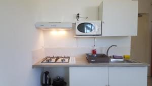 uma cozinha com um fogão e um micro-ondas no balcão em Apartment Studio Halfon em Moorea