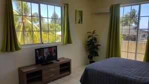 1 dormitorio con cama y vestidor con TV en Apartment Studio Halfon en Moorea