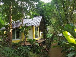 a yellow house in the middle of a forest at Chang Pai Garden in Pai