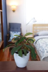 Afbeelding uit fotogalerij van Sára Vendégház in Szentes