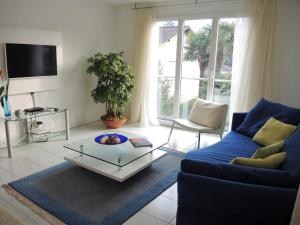 Bicledro في أسكونا: غرفة معيشة مع أريكة زرقاء وطاولة قهوة