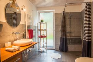 ein Bad mit einer Dusche und einem Waschbecken in der Unterkunft Apartmány Pod Lesem II in Rodvínov