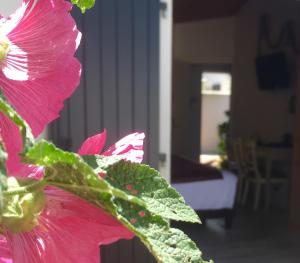 a close up of a pink flower in a room at Hôtel Restaurant & Spa Plaisir in Le Bois-Plage-en-Ré