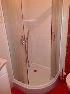 a shower with a glass door in a bathroom at Pešić Apartmani in Kušići