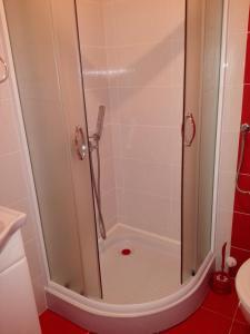 een douche met een glazen deur in de badkamer bij Pešić Apartmani in Kušići