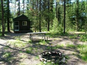 uma cabana na floresta com uma mesa de piquenique e uma fogueira em Glacier Haven Inn em Pinnacle