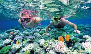 two people are swimming over a coral reef at Dai Thanh 1 Motel Cang Sa Ky in Quảng Ngãi