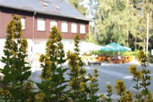 Aed väljaspool majutusasutust Bürger- und Berggasthaus Scheibenberg