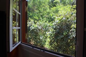 A garden outside La COOL & DOUCE - Villa DOUCE