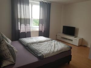 a bedroom with a bed and a tv and a window at Cottbuser City Ferienwohnung in Cottbus +45 photos