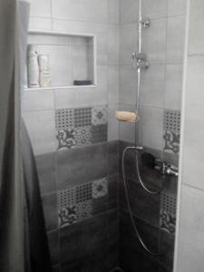 Vannituba majutusasutuses Apartman All seasons