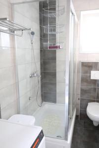 a bathroom with a shower and a toilet at Apartman Lucija kuća za odmor in Vukovar
