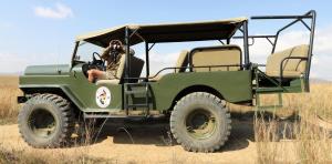 a dog sitting in the back of a green jeep at Kwaggashoek Game Ranch in Geluksburg