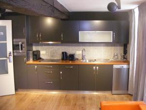 een keuken met donkergroene kasten en een wastafel bij Amosa Liège City Centre Apart Gerardrie 17 in Luik
