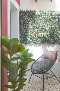 een stoel en een plant voor een muur bij Avenida da Liberdade Apartment in Lissabon
