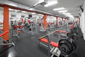 Fitness centrum a/nebo fitness zařízení v ubytování Lipovka penzion