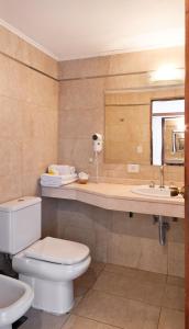 a bathroom with a toilet and a sink at Hotel Huemul in San Carlos de Bariloche