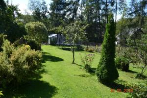 un jardín con árboles y arbustos y una casa en Zacisze, en Biały Dunajec