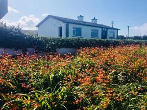 Zahrada ubytování Doolin View Apartment