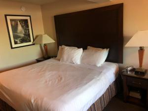 a hotel room with a large bed with two lamps at Shilo Inn Portland Rose Garden - Convention Center in Portland