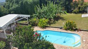 an overhead view of a swimming pool in a garden at Mary Madinina in Fort-de-France