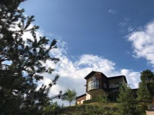 ein Haus auf einem Hügel mit Bäumen in der Unterkunft Bijou in Triesenberg