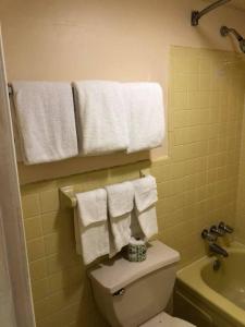 łazienka z toaletą, ręcznikami i umywalką w obiekcie Scottish Inn and Suites Perry w mieście Perry