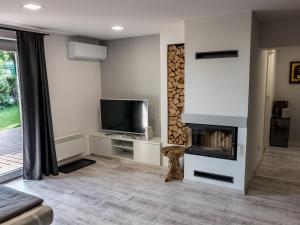 a living room with a television and a fireplace at Lóczy Apartman in Balatonfüred