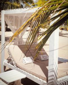 a hammock on the beach with a palm tree at Caribbean Beach Cabanas - A PUR Hotel in Placencia
