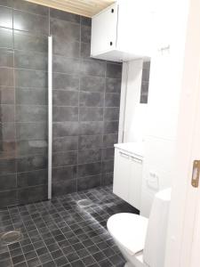 a bathroom with a toilet and a shower at Arctic Studio in Rovaniemi